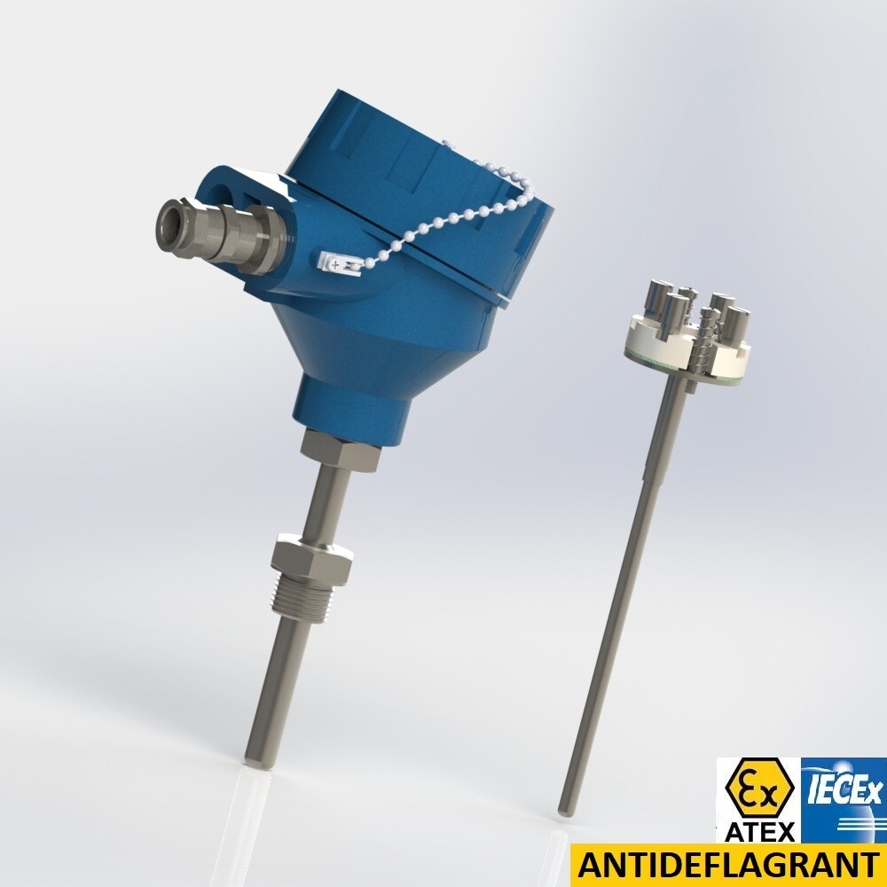 resistance thermometer with protector extension and male thread connection BSPP