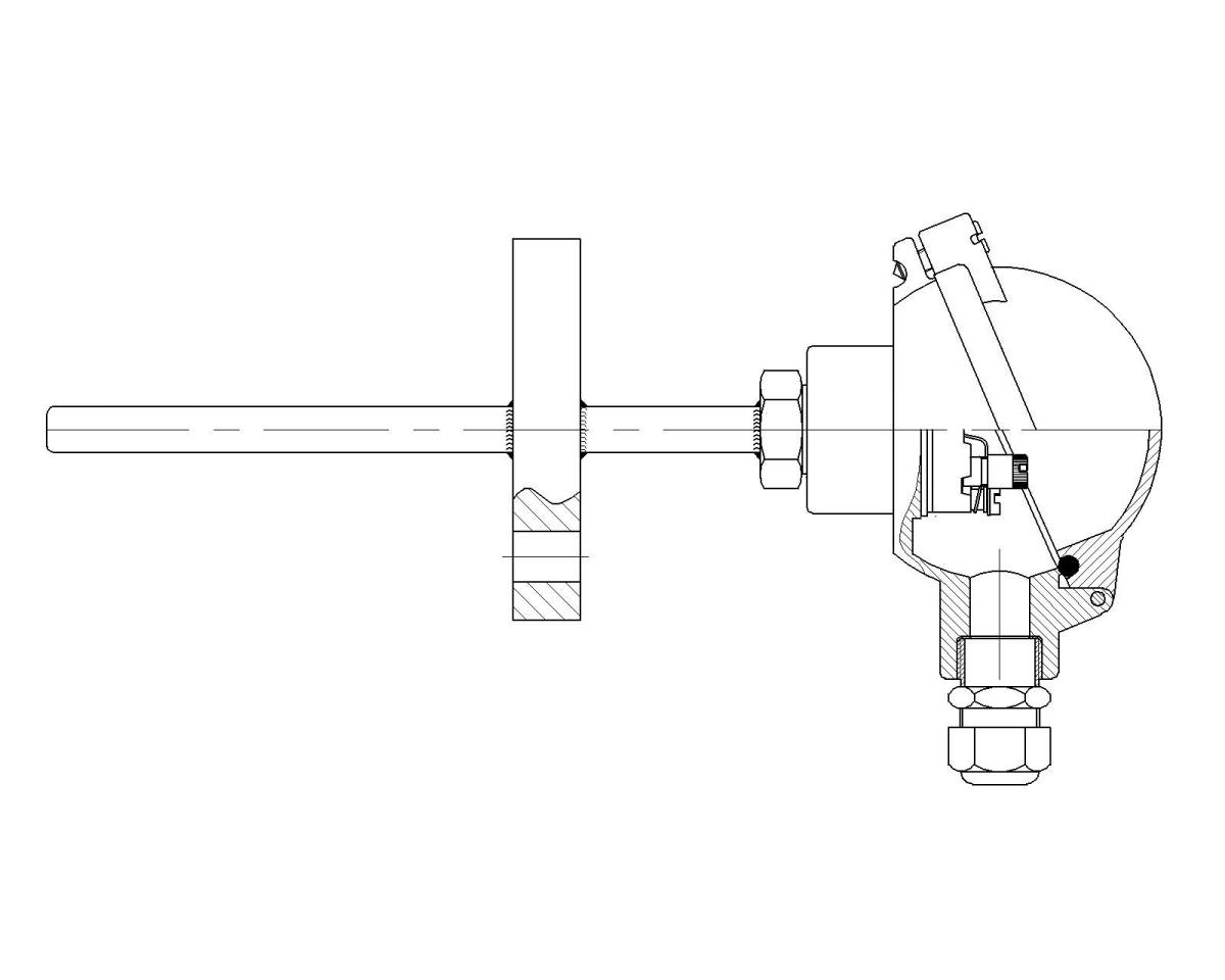 Rigid protector with extension and flange