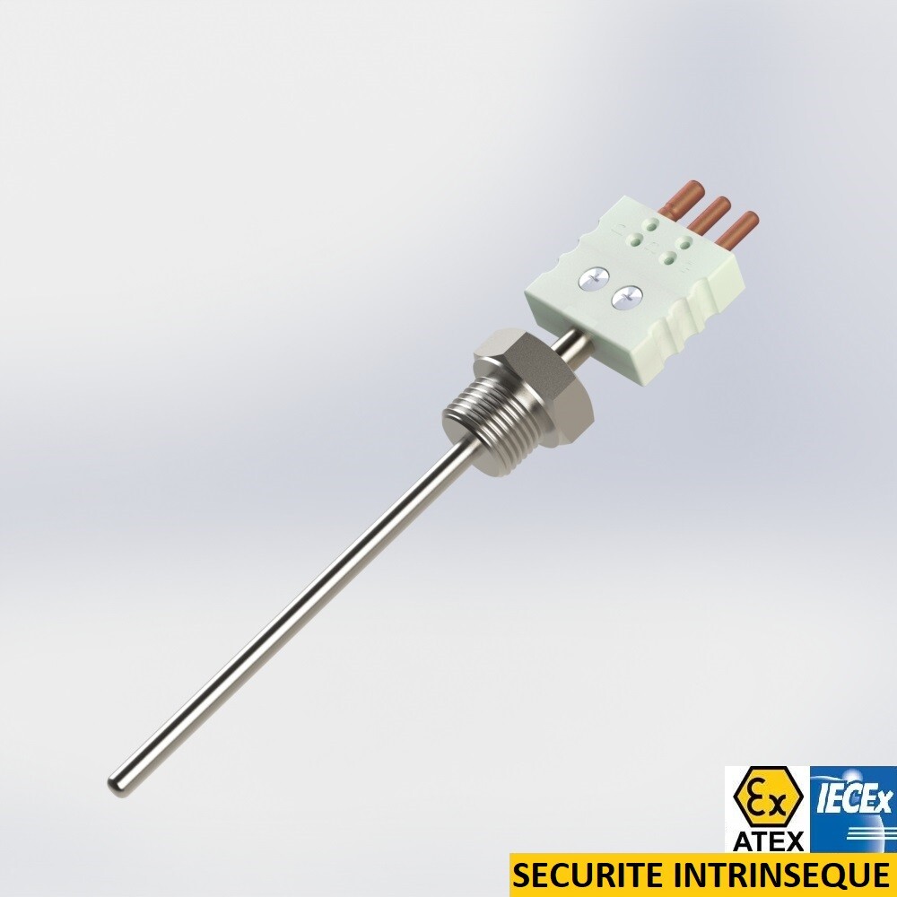 resistance thermometer rigid protector with male thread connection BSPP and connector