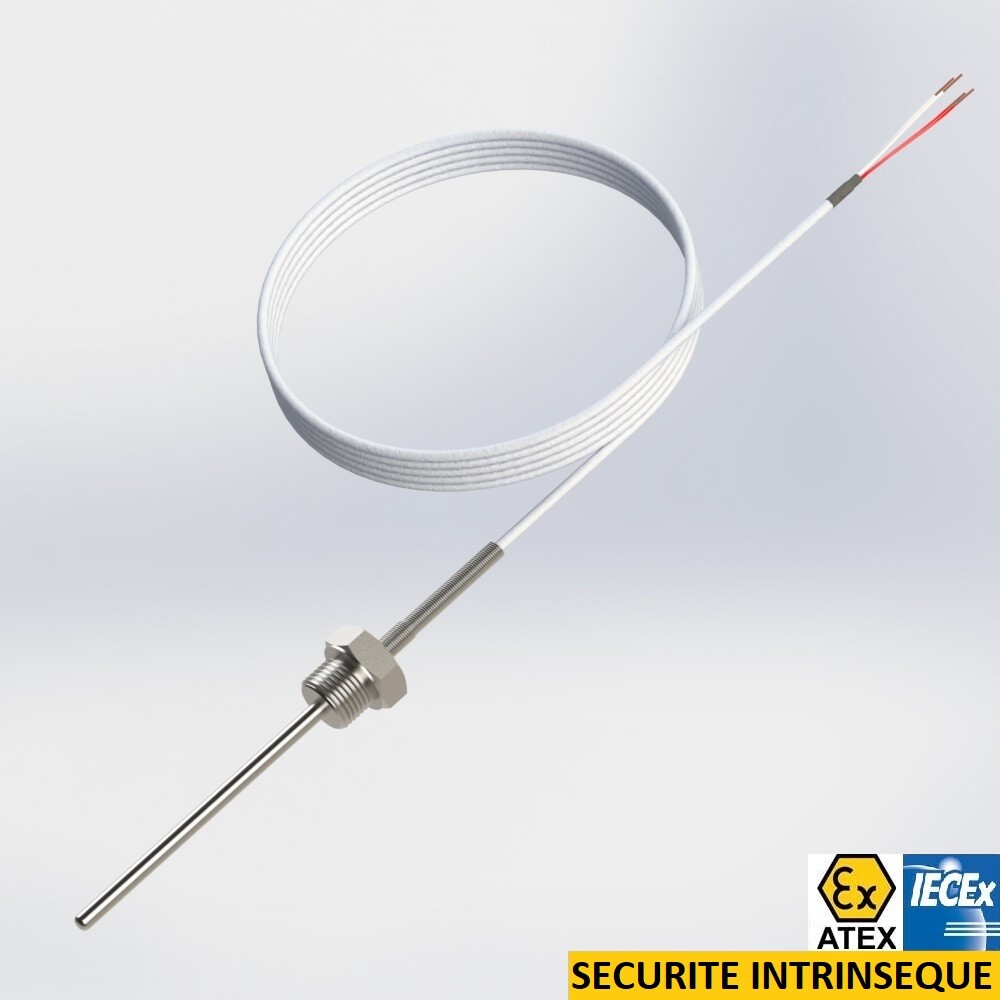 resistance thermometer with cable rigid protector and male thread connection BSPP