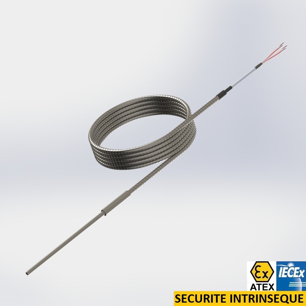 resistance thermometer pot seal with rigid protector and cable under stainless steel hose