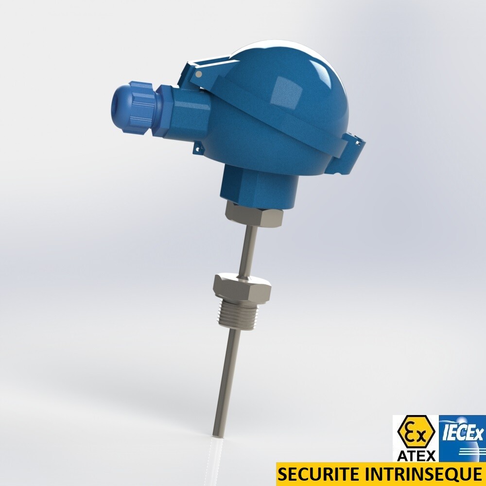 resistance thermometer rigid protector with extension and male thread connection BSPP