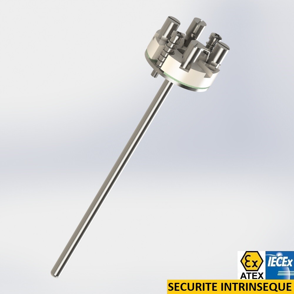 resistance thermometer interchangeable element