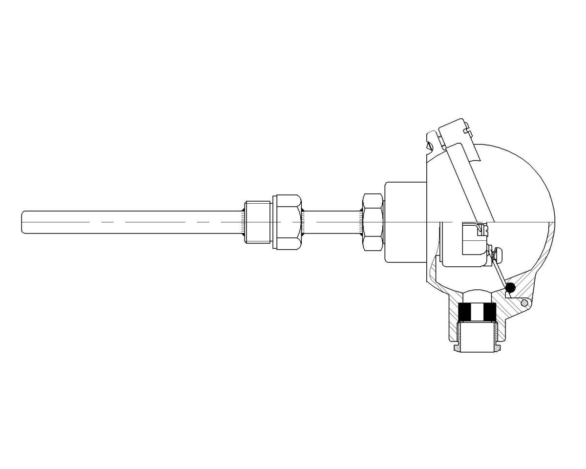 Rigid protector with extension and male thread connection BSPP