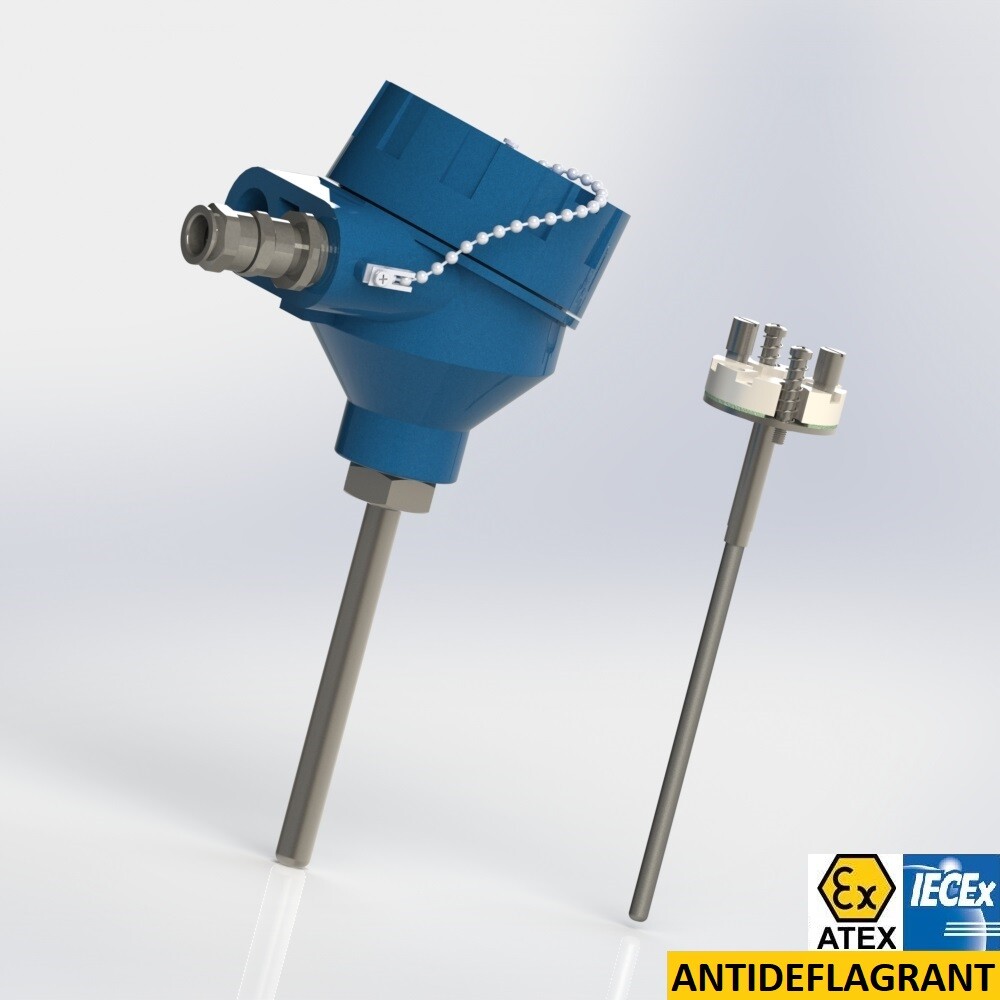 thermocouple with interchangeable element and protector