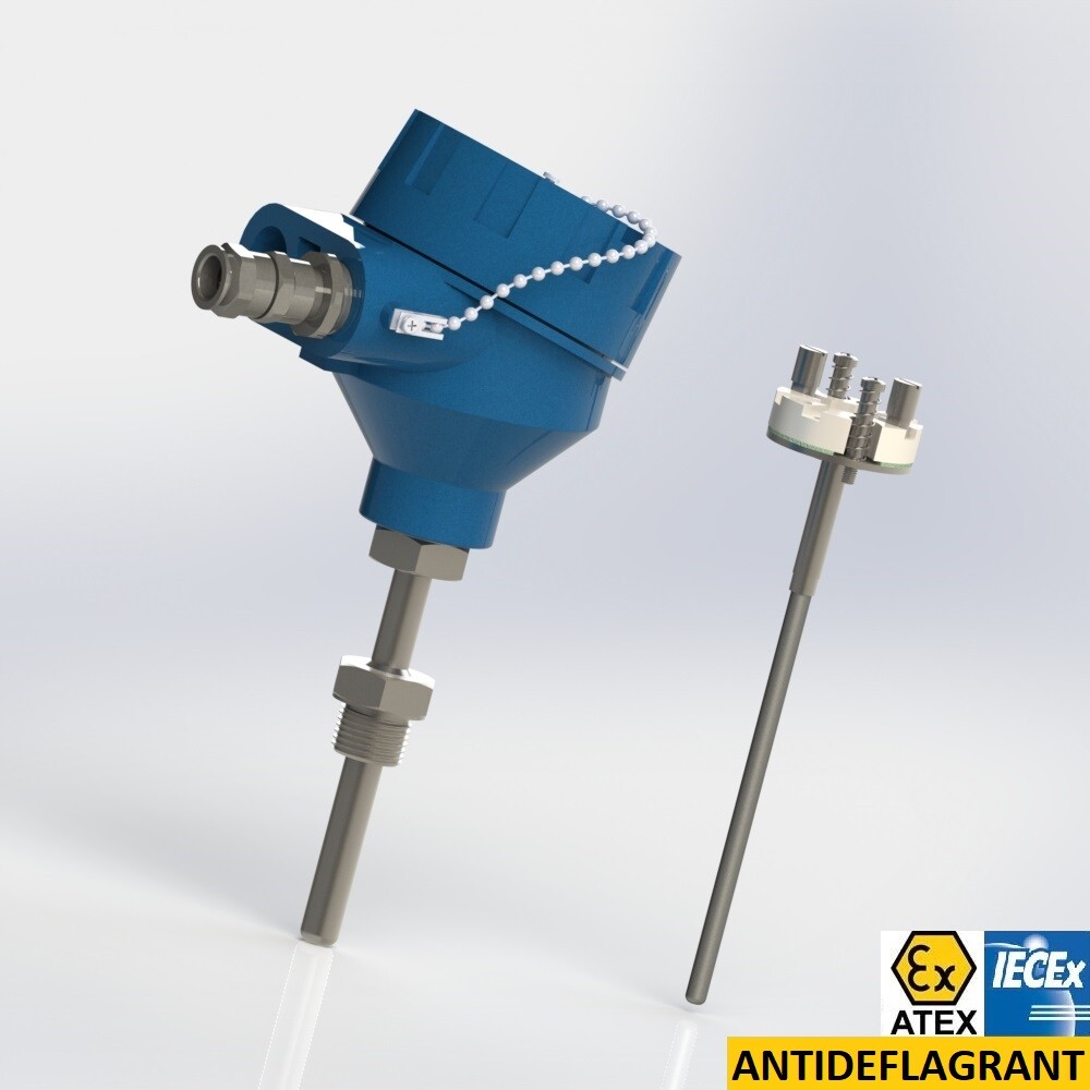 thermocouple with interchangeable element protector with extension and male thread connection BSPP