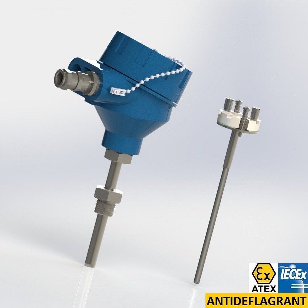 thermocouple with interchangeable element protector with extension and male thread connection BSPP