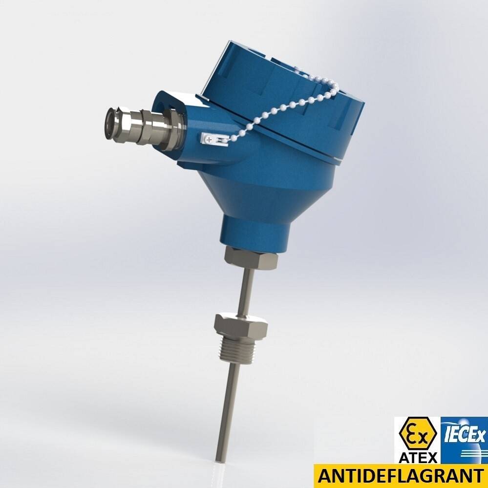 Flexible protector with extension and male thread connection BSPP