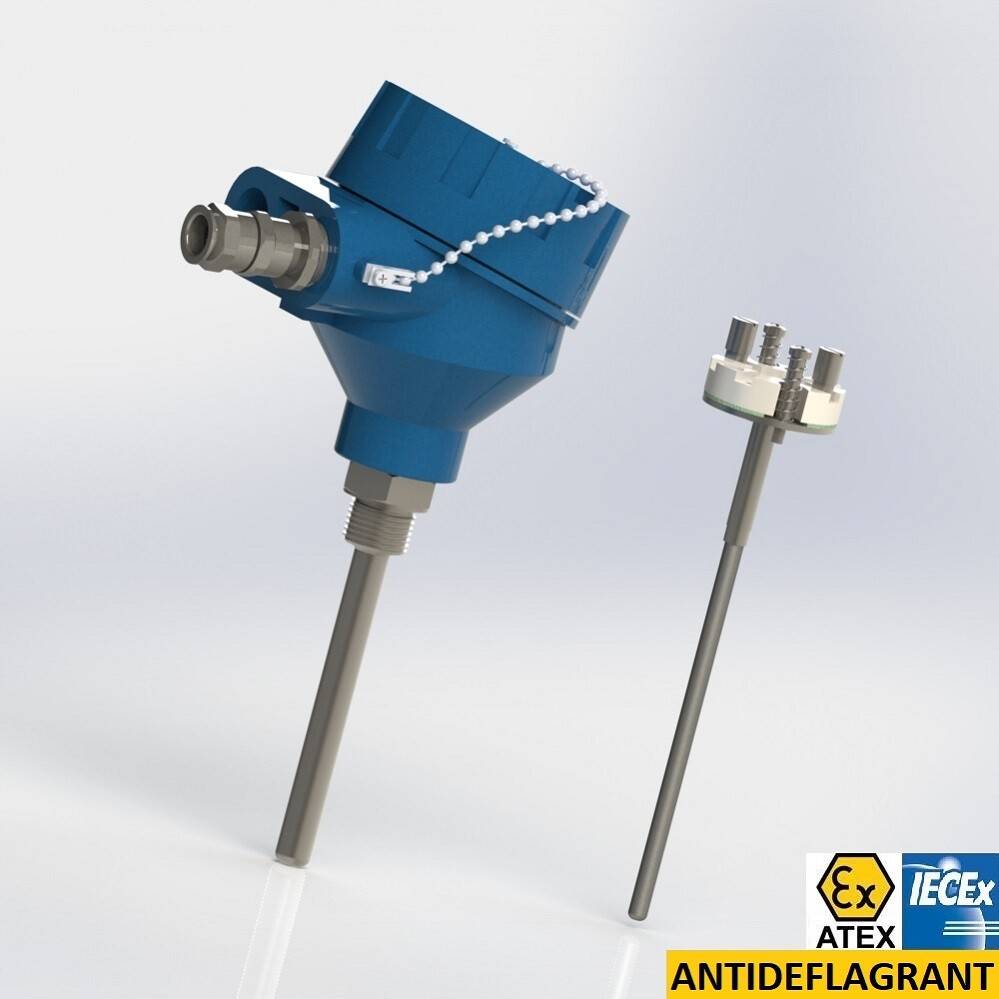 Protector with male thread connection BSPP