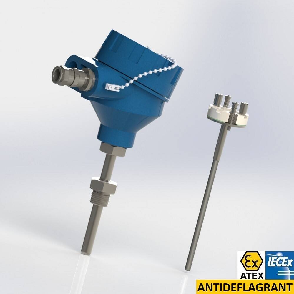 Protector with extension and male thread connection BSPP