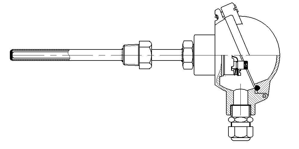 Protector with extension and male thread connection NPT