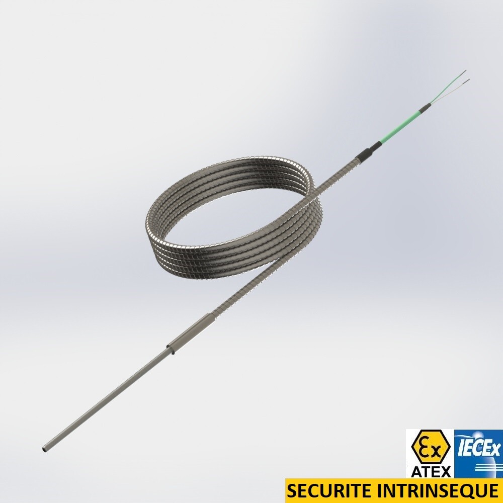 capteur à thermocouple pot de jonction avec protecteur déformable et câble sous flexible inox