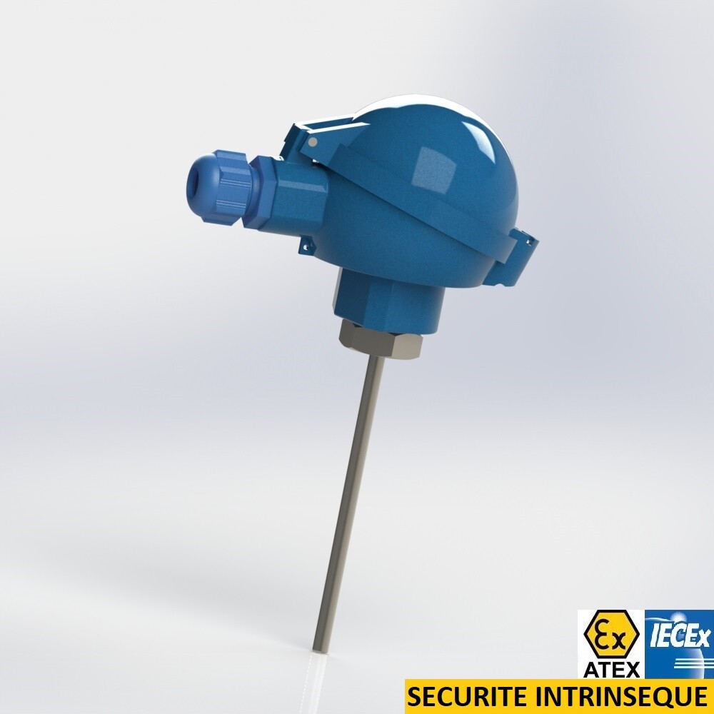 thermocouple with flexible protector 