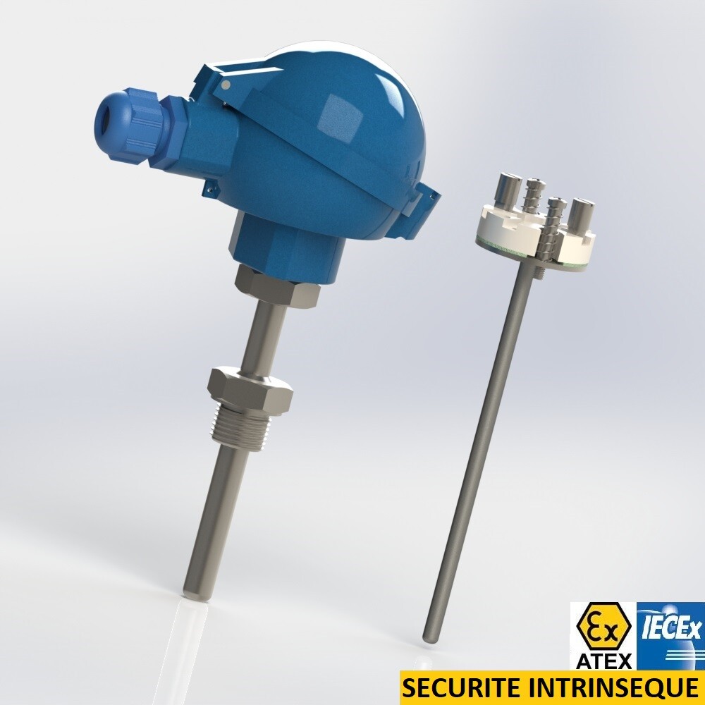 thermocouple with interchangeable element protector with extension and male thread connection BSPP
