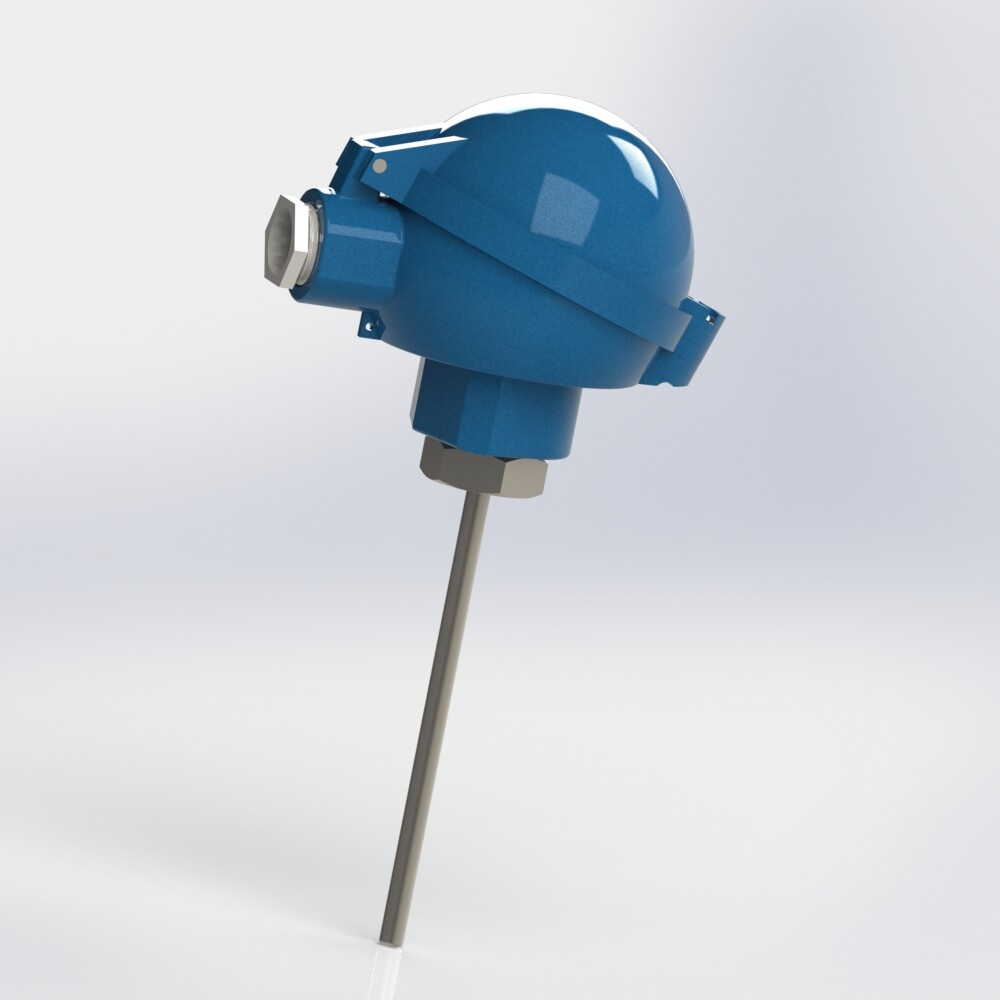 thermocouple with flexible protector 